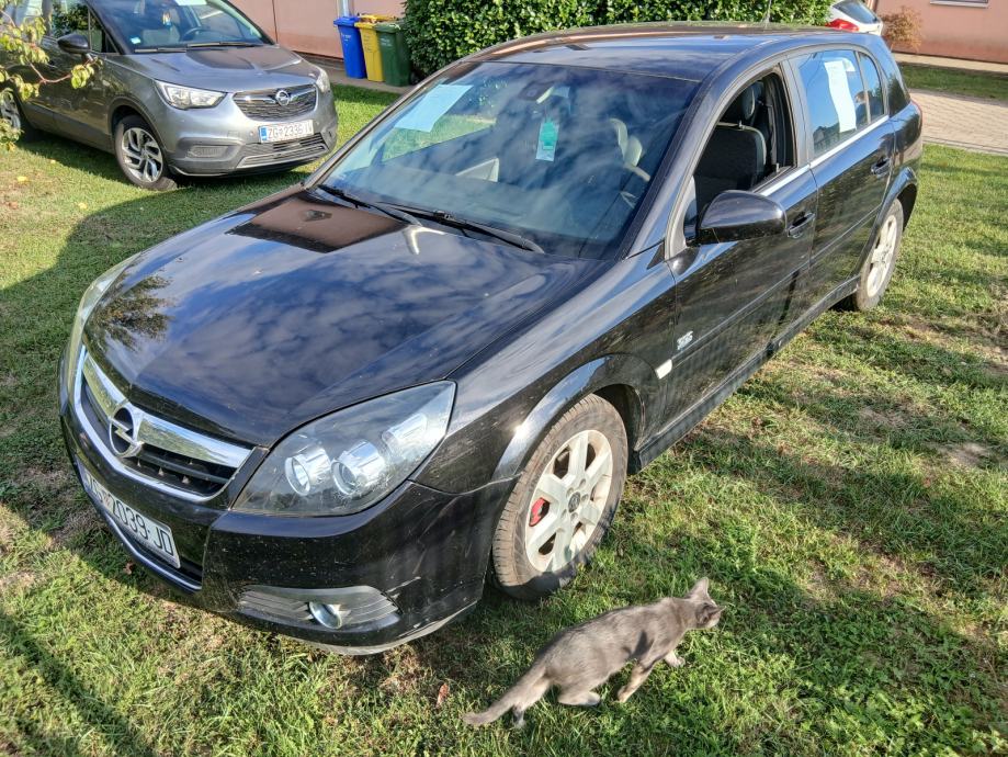 Opel Signum 1,9 CDTI, fotografija 9