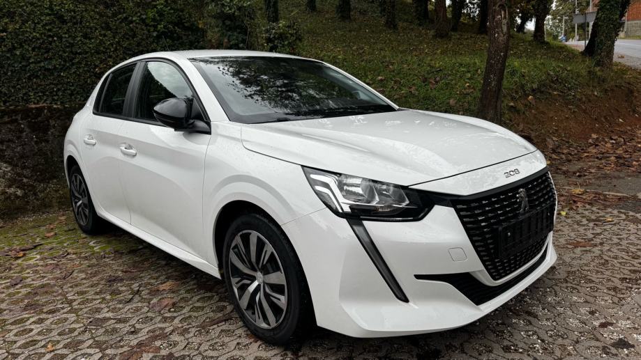 Peugeot 208 1,2 100 KS-BUSINESS R-SERVISNA-JAMSTVO 12 MJ!-TOP!, fotografija 2