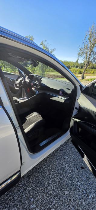 Peugeot 3008 1,5 BlueHDI automatik, fotografija 9