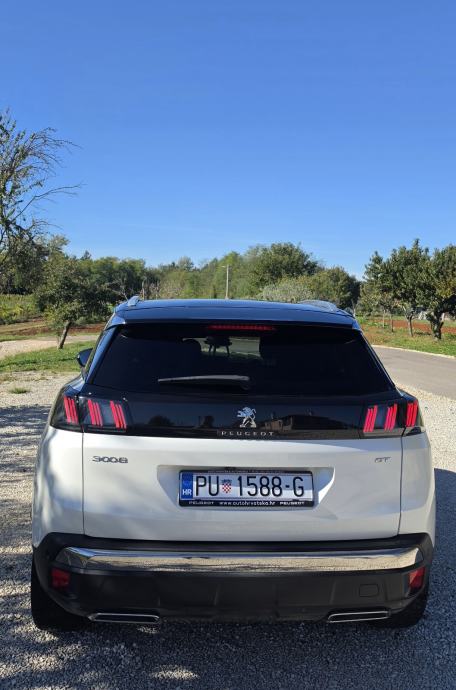 Peugeot 3008 1,5 BlueHDI automatik, fotografija 5