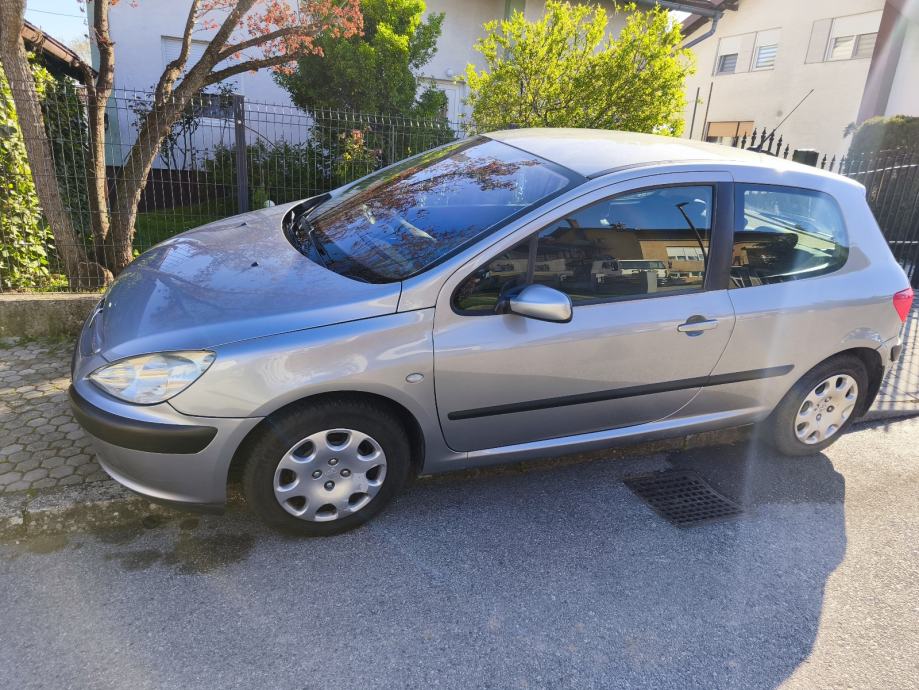 Peugeot 307 1,4, pogled izvana - slika 5