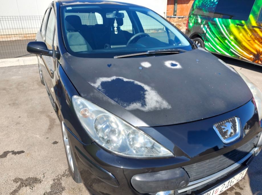 Peugeot 307 1,6 16V, fotografija 18