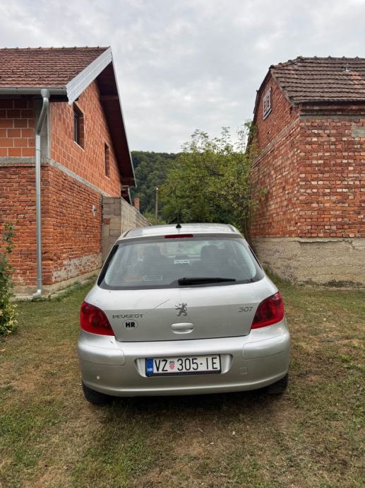 Peugeot 307 1,6 16V XS, pogled izvana - slika 4
