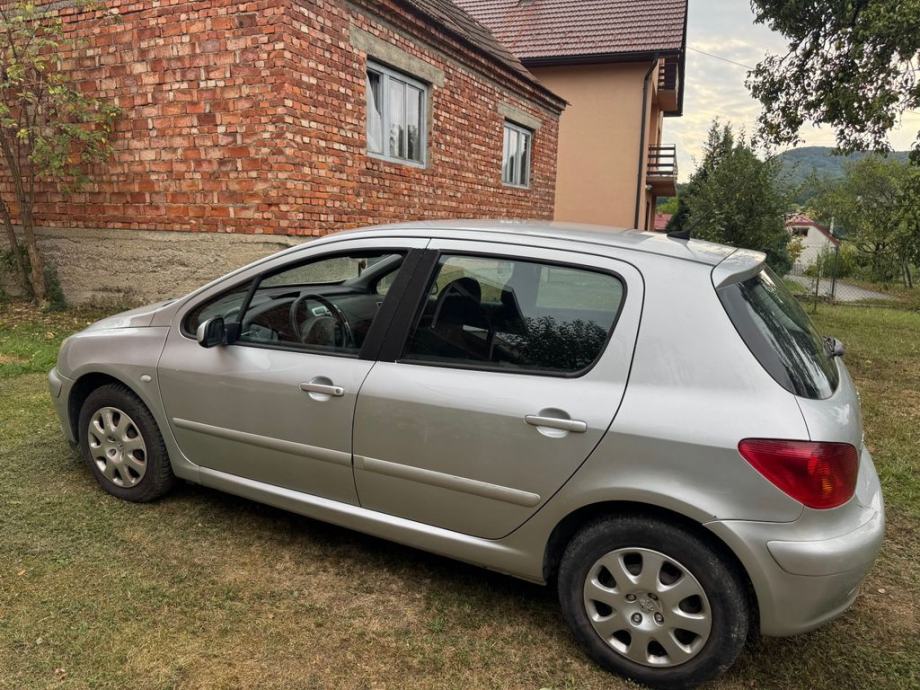 Peugeot 307 1,6 16V XS, pogled izvana - slika 3