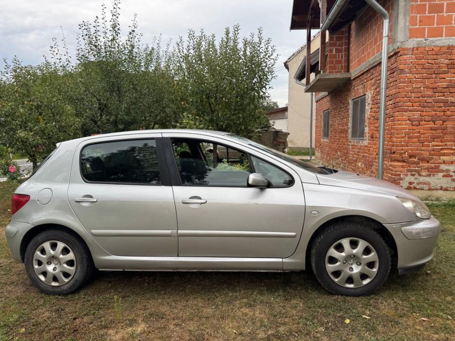 Peugeot 307 1,6 16V XS, pogled izvana - slika 2