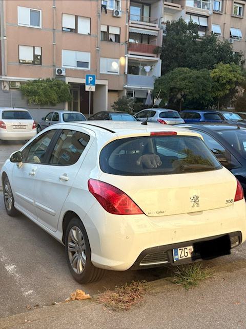Peugeot 308 Envy, 1,6 HDi,diesel, pogled izvana - slika 3