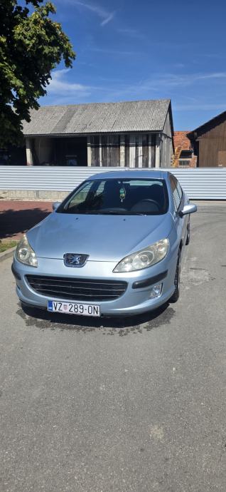 Peugeot 407 1,6 HDi 16V, pogled izvana - slika 2