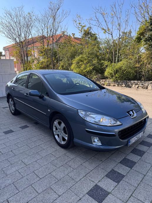 Peugeot 407 2,0 HDi 16V, pogled izvana - slika 2
