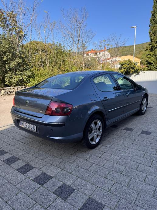 Peugeot 407 2,0 HDi 16V, fotografija 13