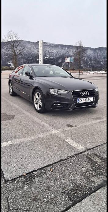 Prodaje se audi, fotografija 4