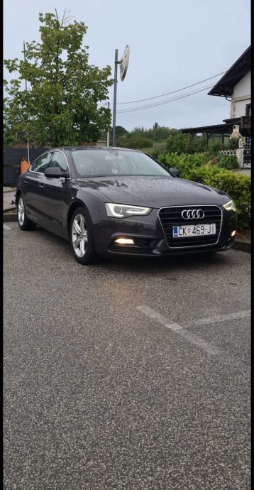 Prodaje se audi, fotografija 7