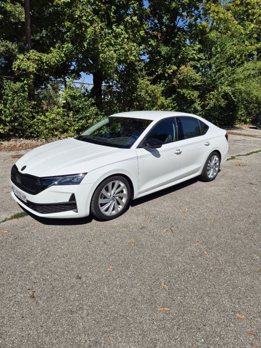 Škoda Octavia 1,5 TSI DSG mHEV, fotografija 14