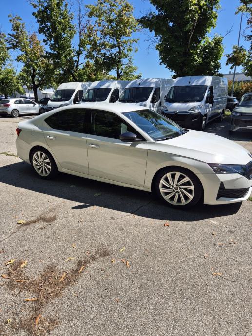 Škoda Octavia 1,5 TSI DSG mHEV, fotografija 11