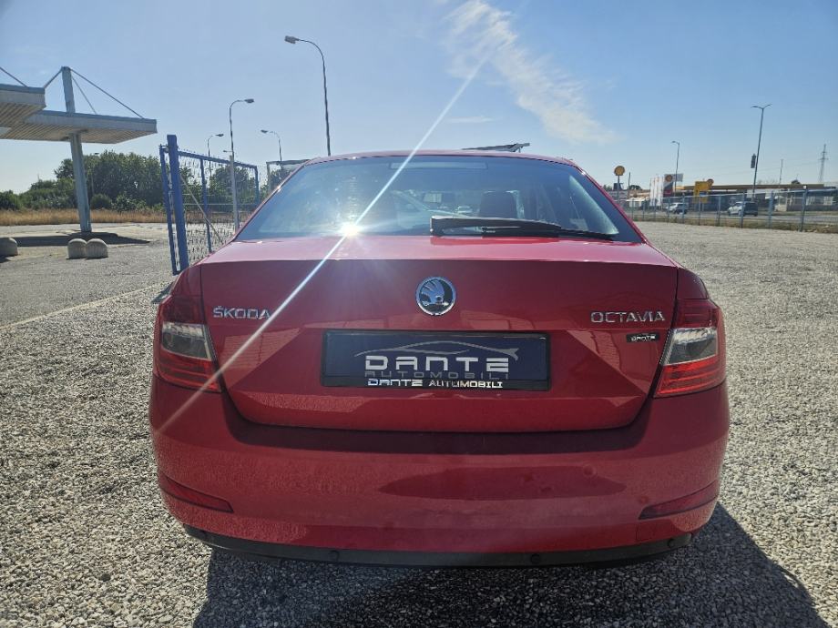 Škoda Octavia 1,6 TDI, NIJE UVOZ, REG 12/26, UREDNO SERVISIRAN, fotografija 8