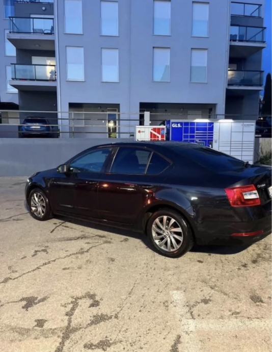 Škoda Octavia 1,6 TDI, fotografija 3