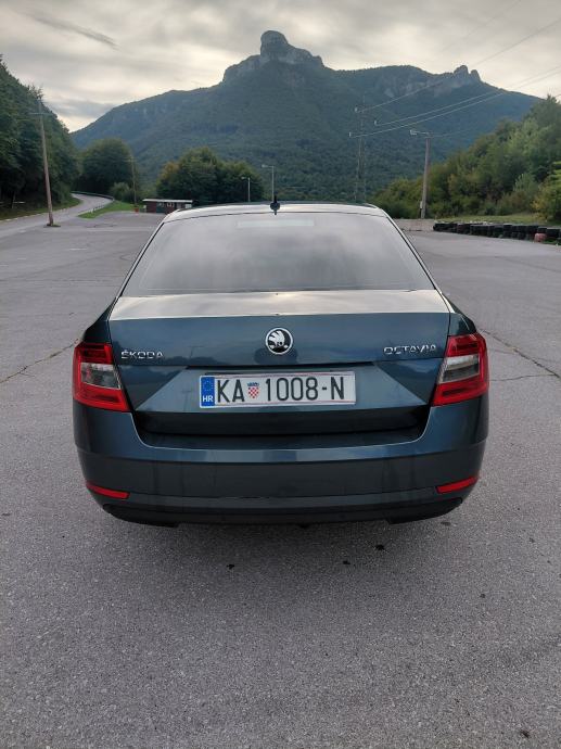 Škoda Octavia 1,6 TDI, fotografija 7