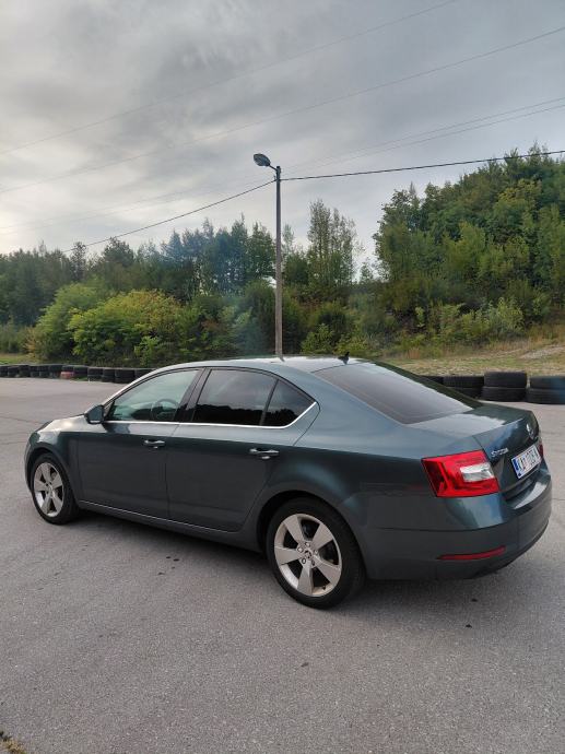 Škoda Octavia 1,6 TDI, fotografija 5