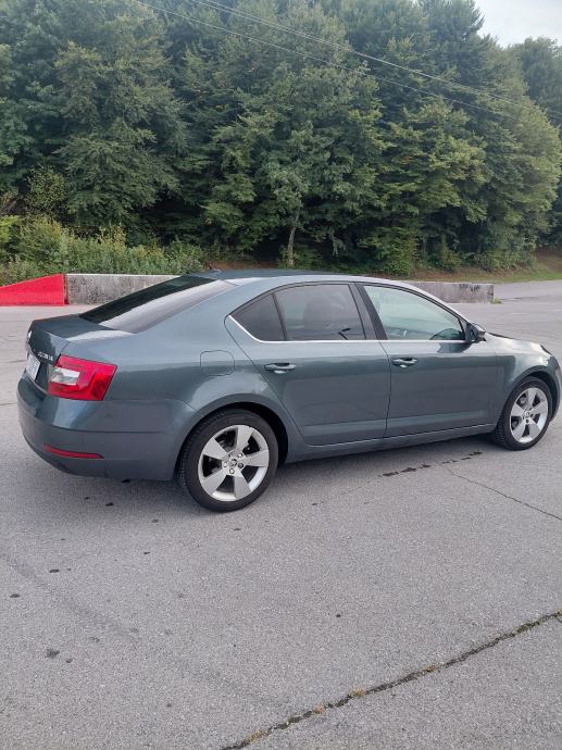 Škoda Octavia 1,6 TDI, fotografija 6
