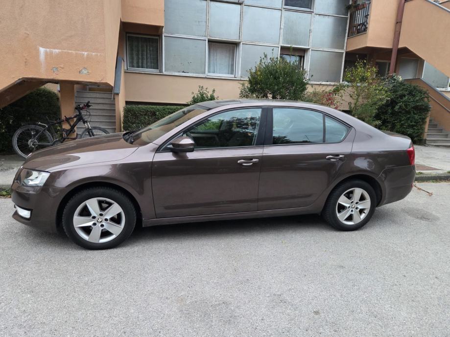 Škoda Octavia 1,6 TDI, pogled izvana - slika 2