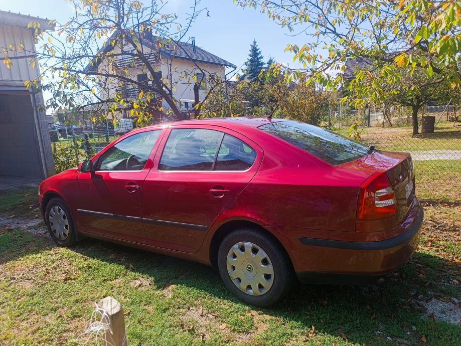 Škoda Octavia 1,9 TDI, 2006, reg 11/2026, 321000 km, fotografija 2
