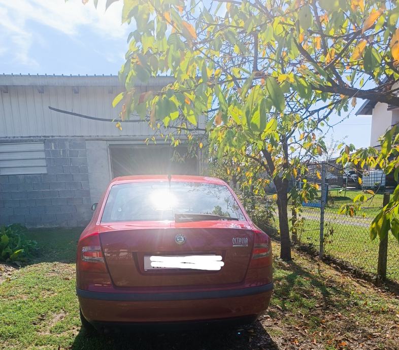 Škoda Octavia 1,9 TDI, 2006, reg 11/2026, 321000 km, fotografija 6