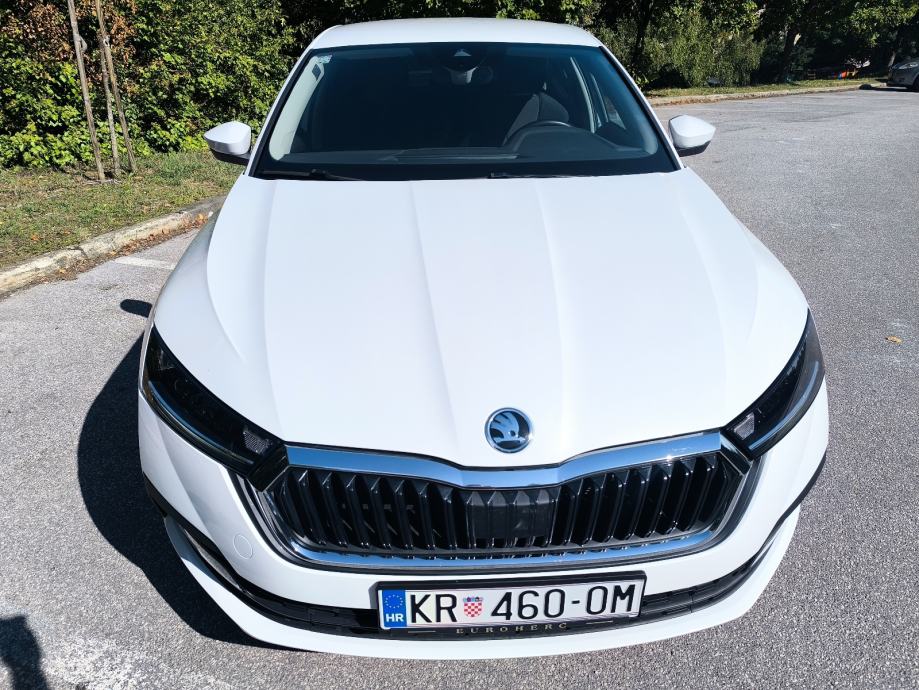 Škoda Octavia 2,0 TDI automatik 110 Kw, fotografija 8