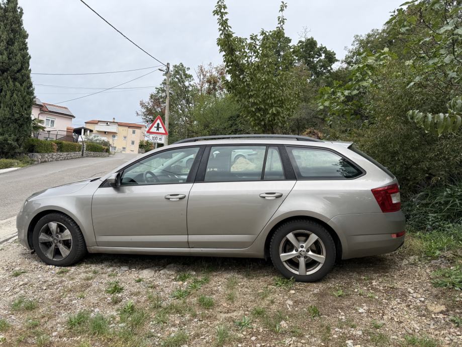 Škoda Octavia Combi 1,6 TDI, 4x4, 2014. godište., fotografija 3