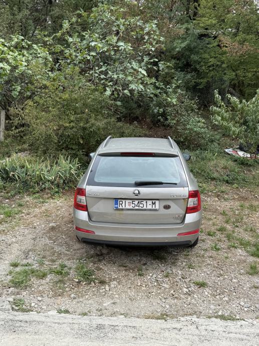 Škoda Octavia Combi 1,6 TDI, 4x4, 2014. godište., fotografija 4