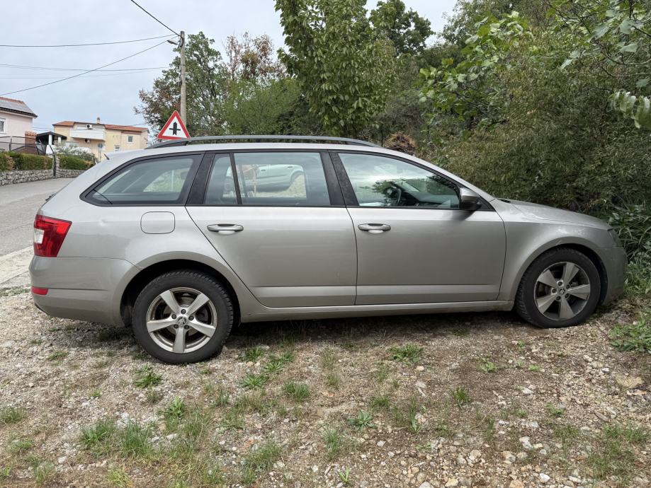 Škoda Octavia Combi 1,6 TDI, 4x4, 2014. godište., fotografija 2