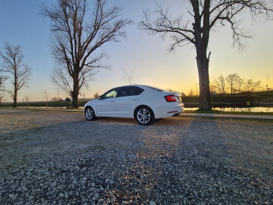 ŠKODA OCTAVIA STYLE 1,6 TDI/85kw*FULL*TOP STANJE*REG 5.2027,NOVE GUME, fotografija 9