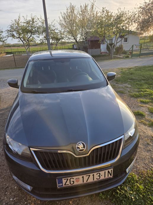 Škoda Rapid 1,4 TDI, pogled izvana - slika 2