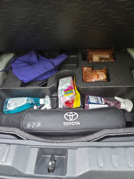 Toyota RAV4 2,5 Hybrid AWD, fotografija 15
