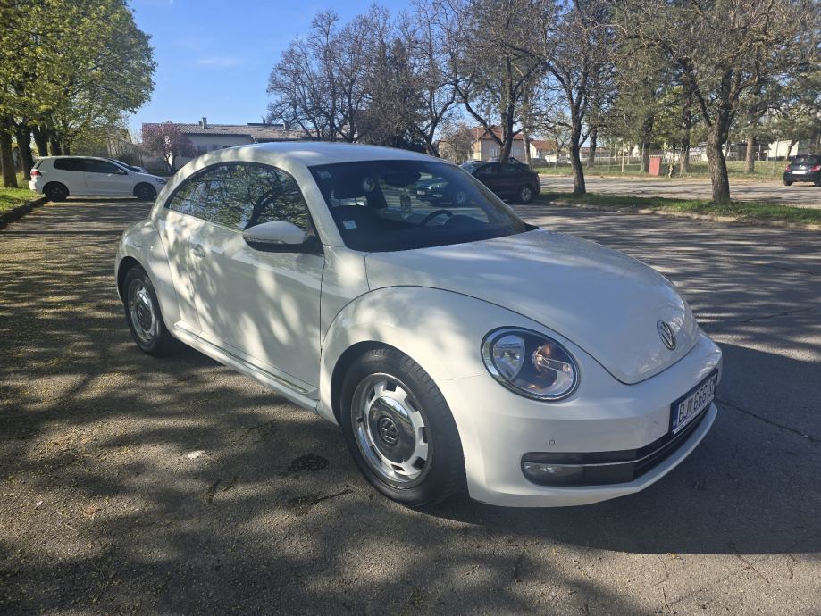Vw Beetle