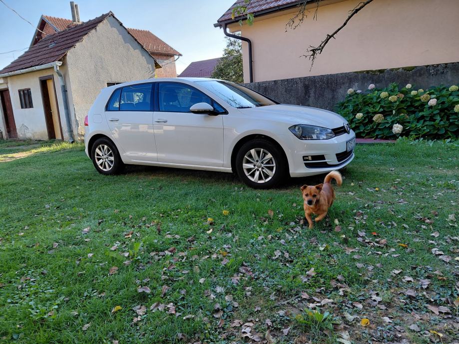 VW Golf 7 1,6 TDI, fotografija 16