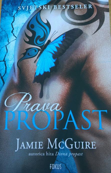 prava propast jamie mcguire