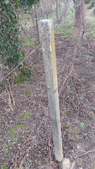 POKLANJAM Betonski stupovi za vinograd, Čazma (G. Draganec/Bojana)