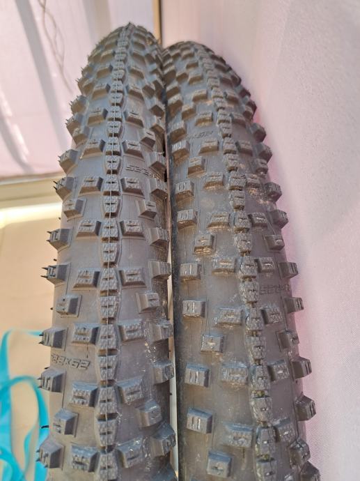 schwalbe smart sam active 2.25 tubeless