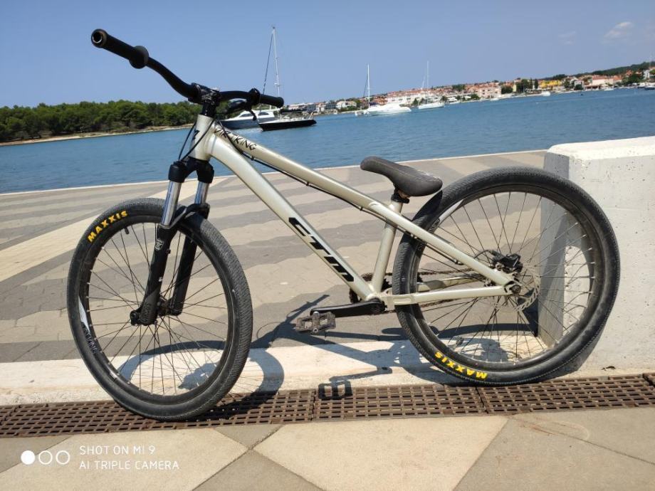 CTM dirt king expert 2019