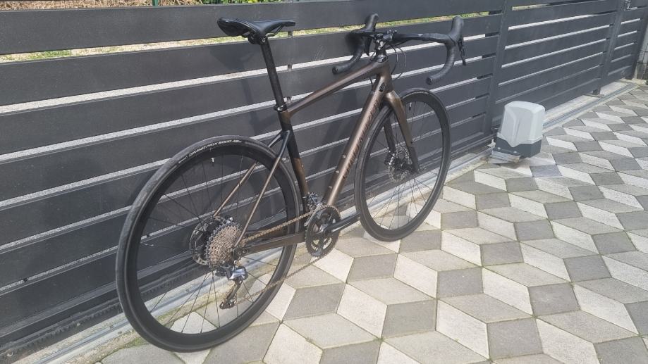 Specialized Diverge Carbon Ultegra