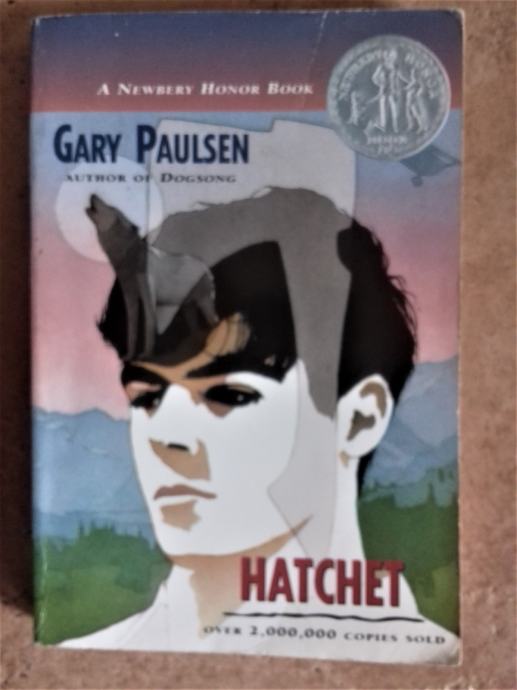 Dogsong essay 06 picture