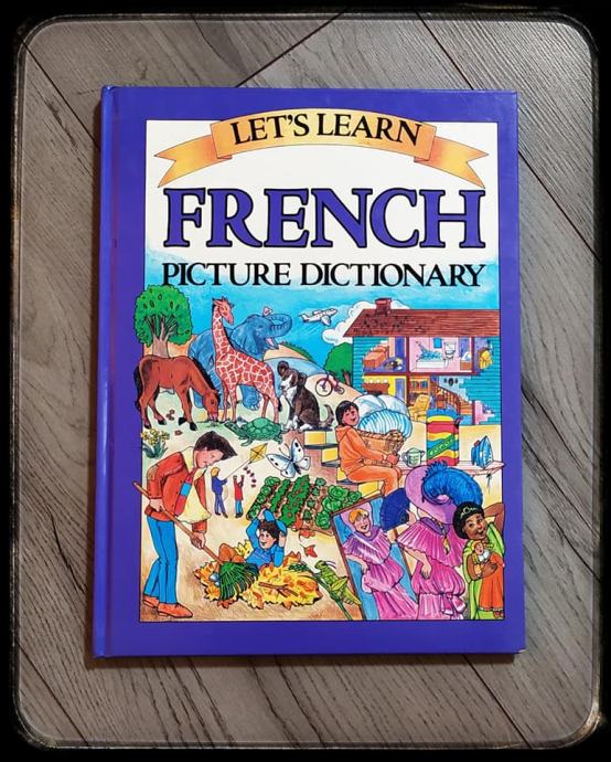 Lets learn French picture dictionary / Rječnik francuskog
