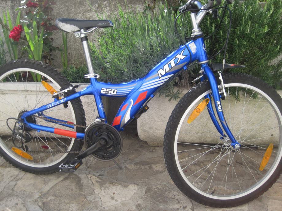 giant 250 bike