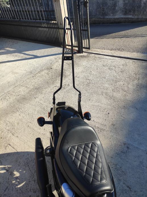 Harley davidson sportster iron 883/1200 sissy bar