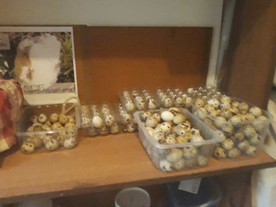 Prodaja prepeličjih jaja