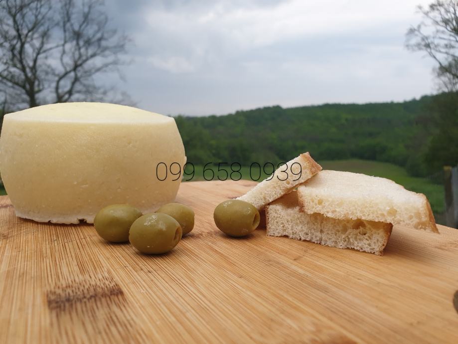 Domaći Kozji sir, više vrsta. Garantirano 100% prirodno