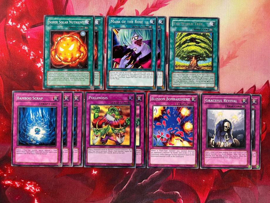 YuGiOh! Plant deck 41