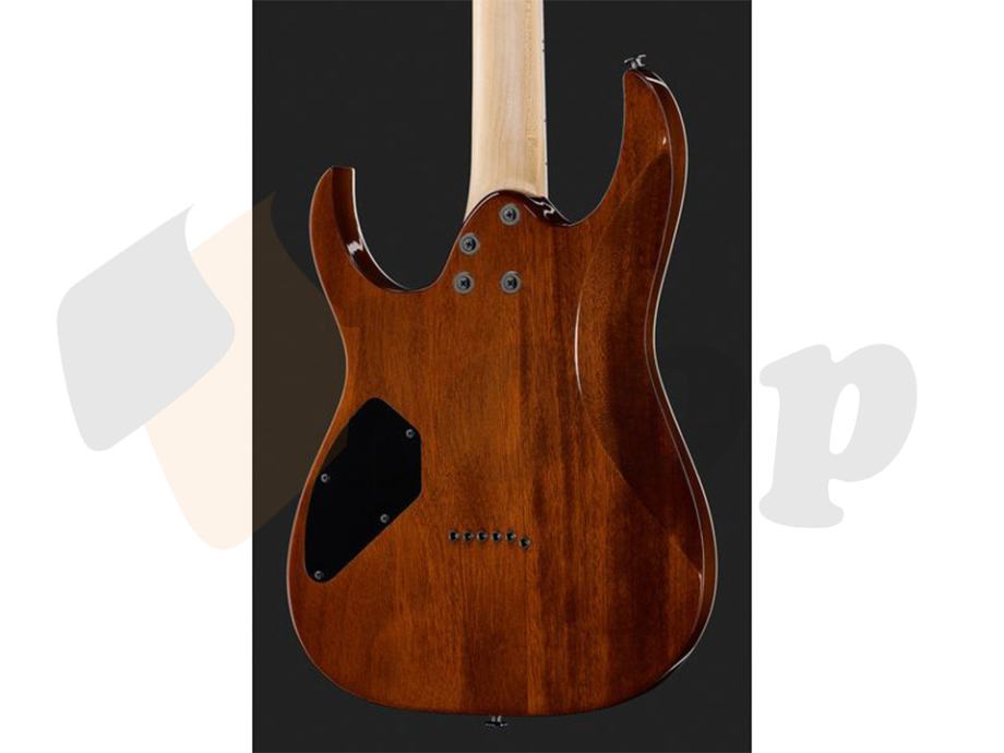 Ibanez GRGR221PA-AQB električna gitara