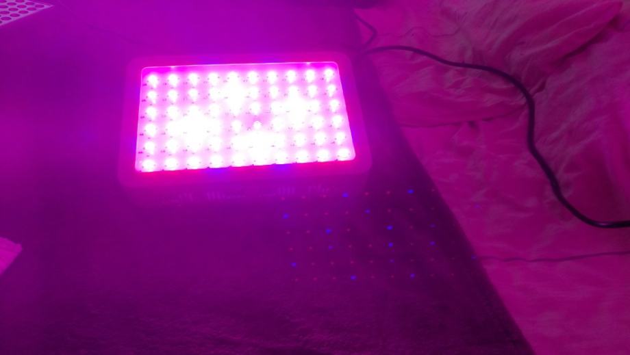 LED GROW LAMPA 600 watt LED GROW LAMPA 600 watt