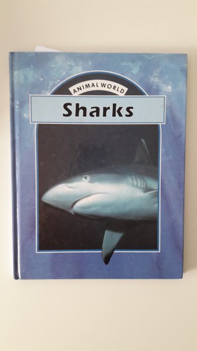 Sharks Animal World Morski psi