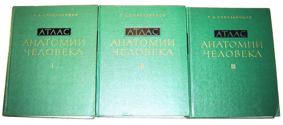 Sineljnikov Sinelnikov Anatomski atlas anatomija čovjeka Atlas anatomi